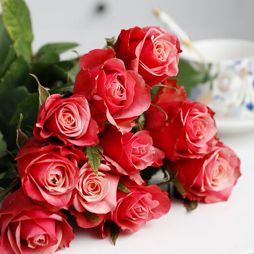 10 single-headed roses in random colors