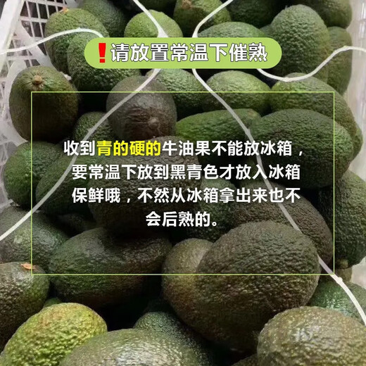 Beijing Orange Meijin Mexico imported fresh avocado fruit seasonal avocado fruit baby healthy and light food 8 medium fruits [100-130g single fruit]