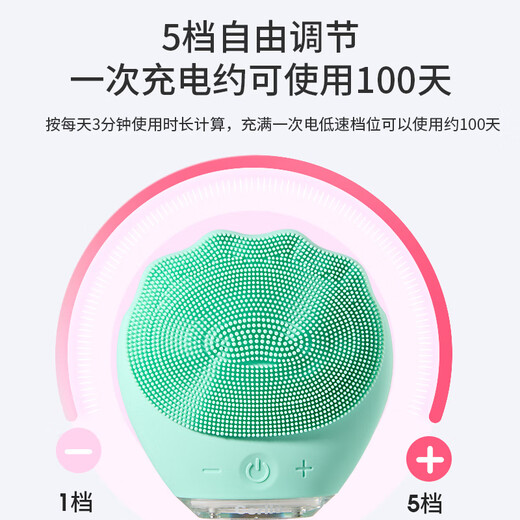 Gerllo Facial Cleansing Instrument Electric Pore Cleansing Facial Washing Instrument as a Birthday Gift for My Girlfriend Mint Green High Frequency Vibration 5-level Adjustment