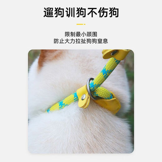 Pet traction rope, special dog leash for outdoor explosion-proof training for dogs, small, medium and large dog p chain, dog walking rope, 1 piece, 1.5 meters/0.6cm, green blue dots, no Specifications