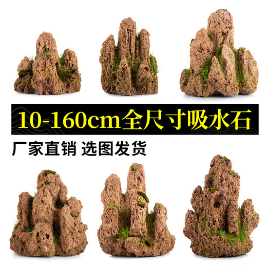 Landscape green sculpture natural water-absorbent stone bonsai customized water-absorbing rockery stone micro-landscape decoration stone ornamental 2 pieces of 10-15cm wool + mixed grass seeds