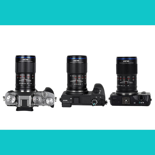 LAOWA 65mm F2.8 Half Frame 2x Macro Lens Portrait Food Flowers Insects Black Canon RF Port