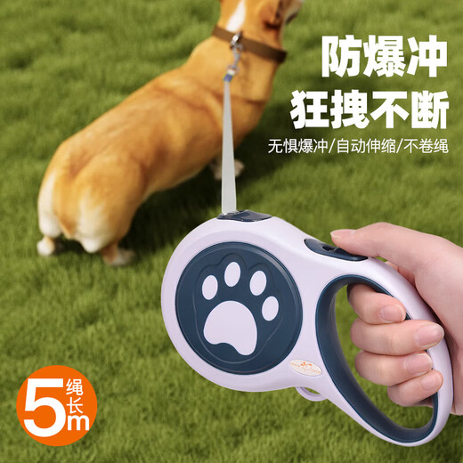Gasgoo Dog Leash Automatic Retractable Dog Walking Cat Small and Medium-sized Dogs Teddy Corgi Large Dog Pet Supplies