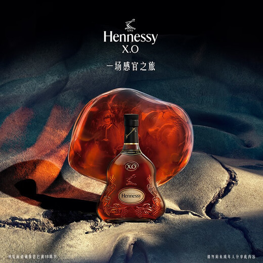 轩尼诗（Hennessy）【官方直营】轩尼诗XO干邑白兰地 700mL 2瓶 法国进口洋酒
