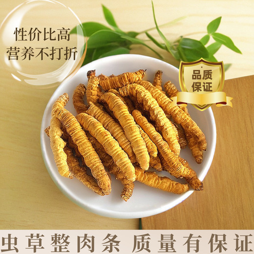 正宗藏区高海拔冬虫夏草断草整肉节10克大瓶装自用家庭装干货正品 西藏那曲精品整肉节5克