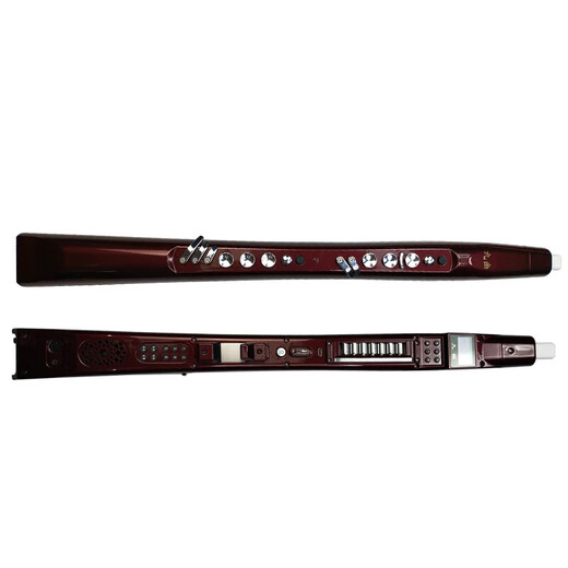 九幽YH801S型号卓恩电吹管（蓝色变色龙）国产乐器中老年人葫芦丝大全 九幽YH801S+新款套餐一