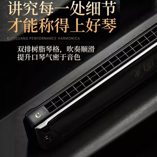 国光进口音簧国光口琴正品24孔复音#A/B/C/D/F/G调/降/成人专业演奏级 #C调（降D调）