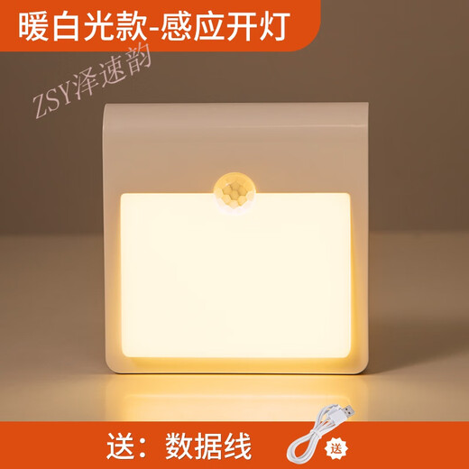 Zesuyun Интеллектуальный ночник с датчиком человеческого тела Перезаряжаемый голосовой свет Свет для прохода Лестница Коридор Коридор Беспроводная входная дверь, начиная с двери 1 упаковка Теплый белый свет Зарядка + 2 вида яркости