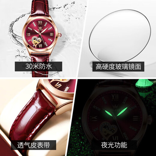 欧利时（OLEVS）瑞士认证品牌手表女士机械表全自动防水夜光女表镂空镶钻潮流腕表 OLEVS-6636-酒红皮玫红