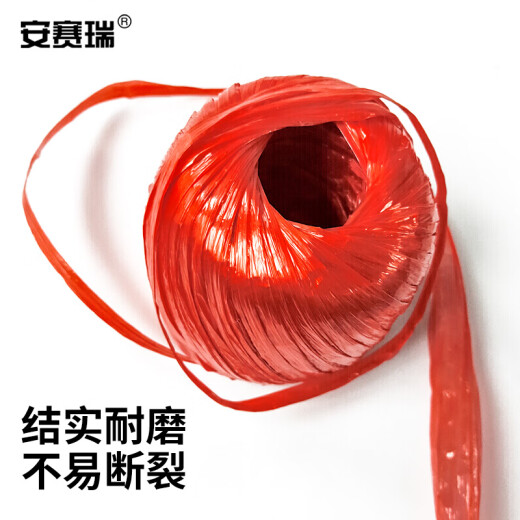 安赛瑞 塑料捆扎绳 仓库搬家打包绳 1卷 150g 红色 EA200456