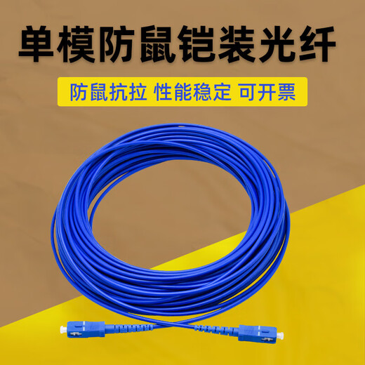 Armored fiber optic jumper SC to LC-FC-ST rat-proof tensile single-mode single-core 10M/30/50m pigtail extension Telecom-grade armored single-mode single-core SC-SC 5m