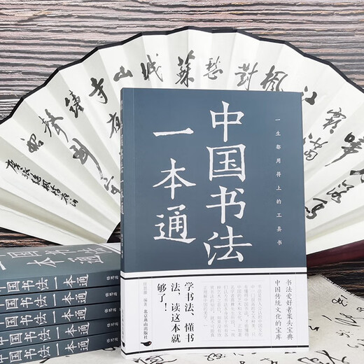 A comprehensive guide to Chinese calligraphy