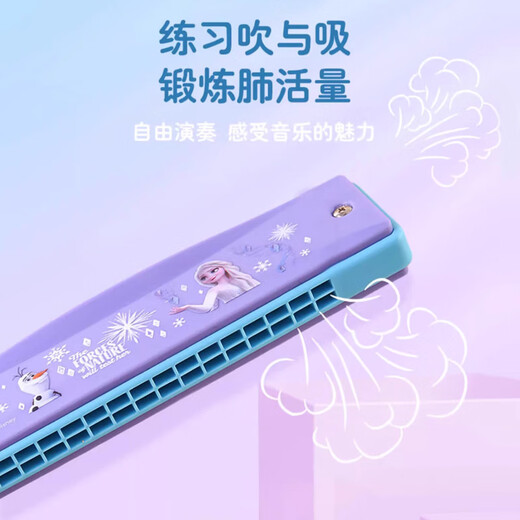 迪士尼（Disney）口琴儿童乐器玩具宝宝专用小喇叭可吹口风琴16孔冰雪奇缘2586B