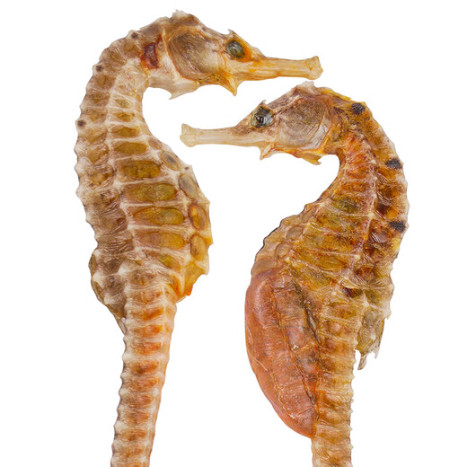 And Taoist Three-spotted seahorse 5g, male and female, gift box, male and female, genuine wine/stool, medicinal herbs for men