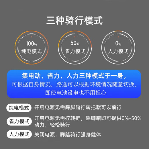 凤凰（Phoenix）新国标电动自行车锂电池助力车山地自行车男女士单车成人电瓶车 699破风轮21速黑红-15AH续航45km