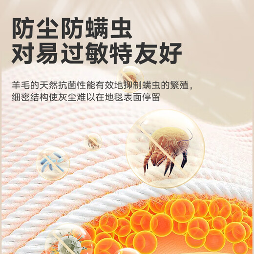 Dajiang floor mat entrance door foot mat entrance floor mat wool carpet door entrance floor mat 75x110cm