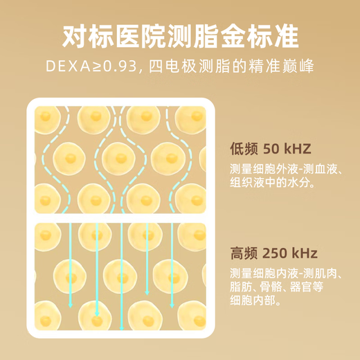 乐福（LEFU）【有光即充】智能体脂秤 体重秤称重电子秤人体 减肥塑形专用家用秤 超大秤面 直显身体核心数据