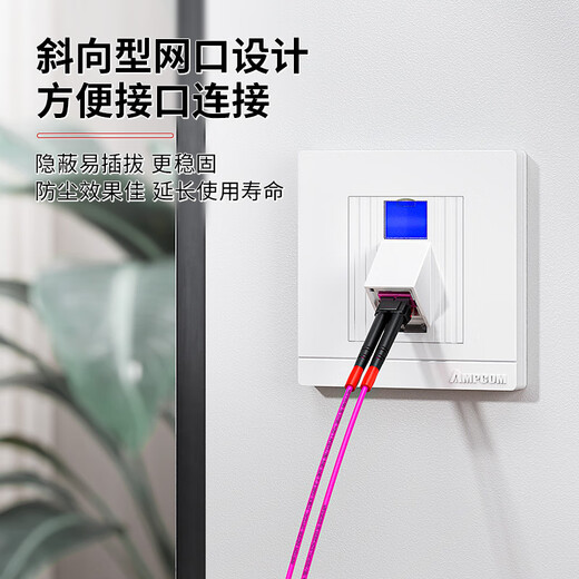 AMPCOM dual port 86 fiber adapter panel SC FC simplex LC duplex telecommunications grade single multimode fiber jumper cable tail fiber coupler flange socket AM86L02