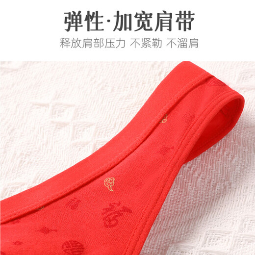 Langsha Mama Underwear, Year of the Horse, Big Red, Horse, Qiji Red, Pure Cotton, Middle-aged and Elderly Bras, Panties Set, Front Button Bra