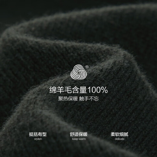 杉杉（FIRS）厚款纯羊毛圆领毛衣男秋季新款商务纯色休闲针织保暖毛衫692 墨绿色 XL (180)