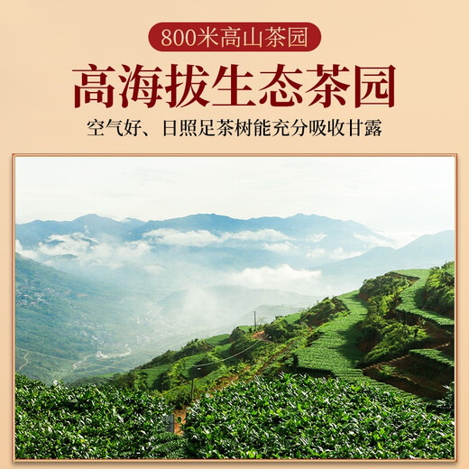 传奇会乌龙茶 安溪铁观音 清香型特级336g轻火礼盒装送礼茶叶自己喝