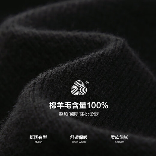 杉杉（FIRS）厚款纯羊毛圆领毛衣男秋季新款商务纯色休闲针织保暖毛衫692 黑色 L (175)