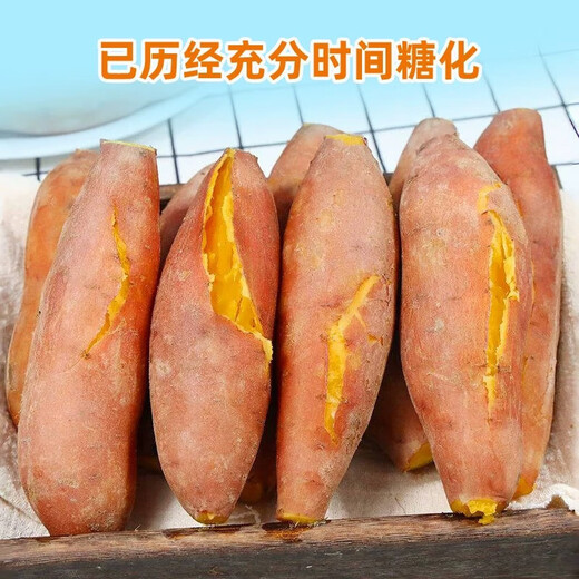 Freshly dug sandy sweet potato air fryer sweet potato sandy floor chestnut potato fresh self-grown Longjiu authentic yellow heart sweet sweet sandy sweet potato 2Jin Jin equal to 0.5kg with box small and medium fruit