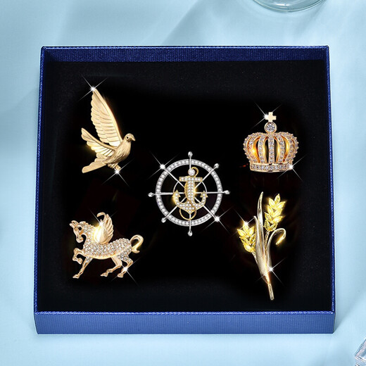 Dingjing instant success brooch men's suit suit corsage high-end pin coat jacket birthday gift for boys