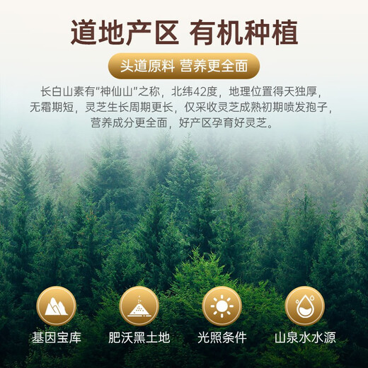 池润【高量效】长白山头道破壁灵芝孢子粉增强免疫力富含孢子油 1.0g*30包*6盒【季度量调理】