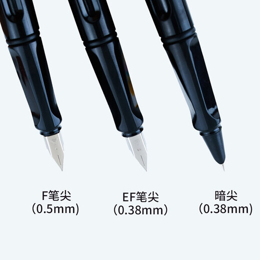 烂笔头 2支装钢笔757A正姿男女孩初学者卡通中小学生用练字书法特细可吸墨换墨囊两用儿童钢笔 星空绿2支装 明尖F0.5(50支蓝黑色墨囊)