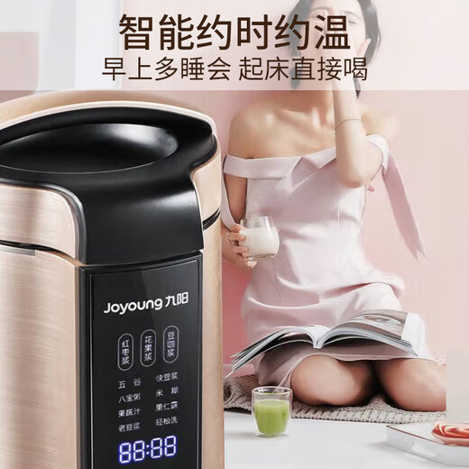 九阳（Joyoung）豆浆机1.3L破壁免滤2-5人食 家用多功能可预约榨汁机料理机破壁机DJ13E-Q8