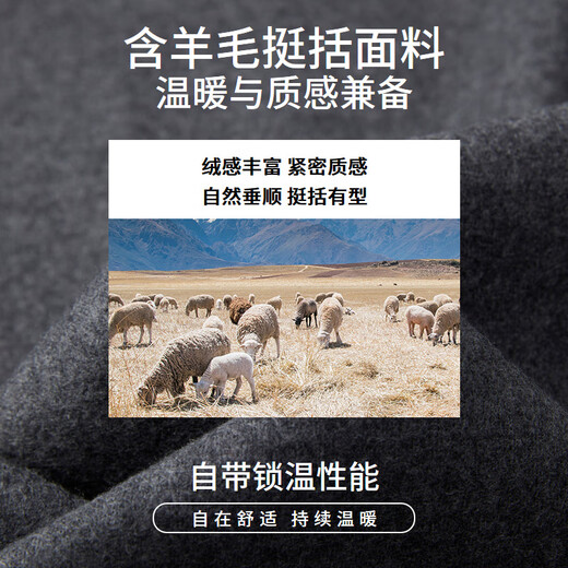 EMZ鄂尔多斯羊毛男士夹克大衣早春保暖翻领短款灰色毛呢男装外套 中灰 L 175/96A