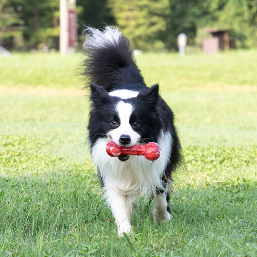 GiGwi Dog Toys Candy Bones S Sound Bones for Grinding Teeth, Resistant to Bite and Relieve Boredom, Dog Toys for Small and Medium-sized Dogs, Pet Toys