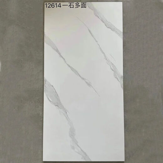 维诺亚600x1200仿古地砖防滑客厅水泥灰仿古砖工业复古风极简风哑光地面 12625