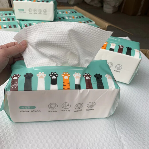 Selected Disposable Face Towels Thickened Removable Face Towels Towels Soft Towels Roll Mother and Baby Home 20*20 2 Packs Total 440g