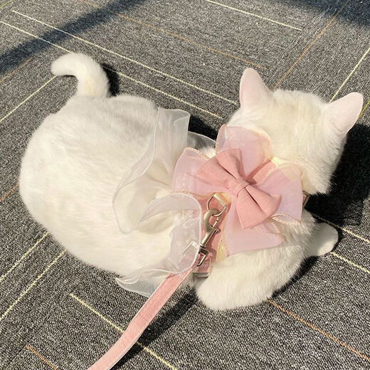 Cat Walking Rope Cat Chest Strap Pull Princess Skirt Dual-purpose Pet Clothes Outdoor Cat Rope Blue (with rope) M-(suitable for bust 28-36cm)