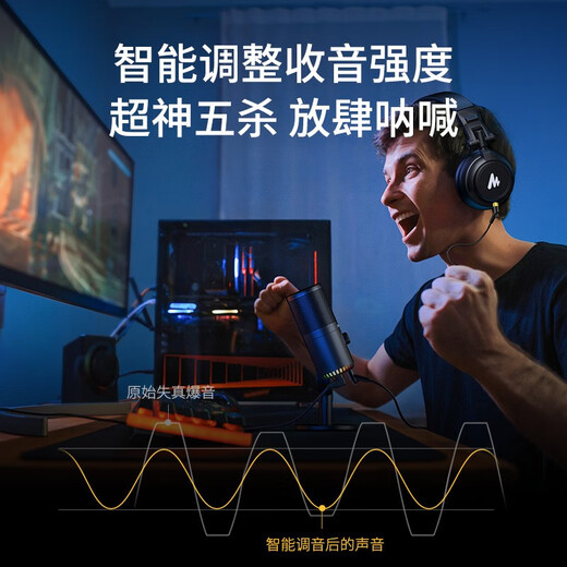 Maono Game Microphone Computer Microphone USB Live Broadcast Mobile Phone Noise Reduction Capacitor Mic Esports Peripheral Desktop Singing Radio Equipment DM30 DM30 Black (Esports Game Mic Software Tuning)