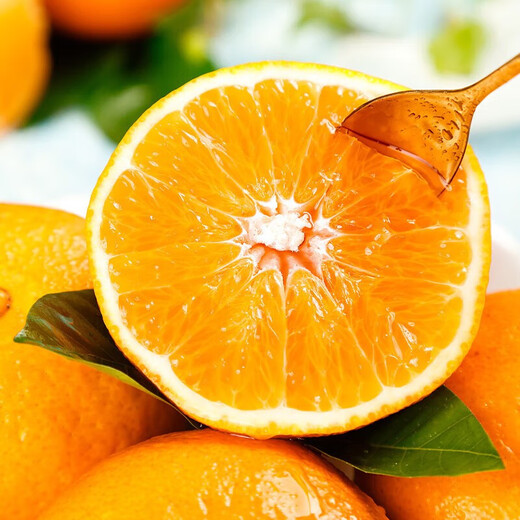 The Brave No. 38 Sichuan Ehime Jelly Orange Fresh Fruit JD-Next Day Delivery to Many Places Tangerine/Orange Rock Sugar Orange Net Weight 4.5Jin Jin equals 0.5kg Fruit diameter 60-65mm exquisite color box