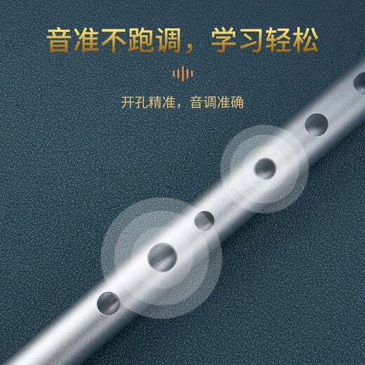 Rongkai Irish Whistle Flöte All Aluminiumlegierung Treble C/Tuning Zinnflöte für Anfänger für erwachsene Anfänger Sechsloch Rekorder D/Tuning Britisch Sechsloch D/Tuning Silber