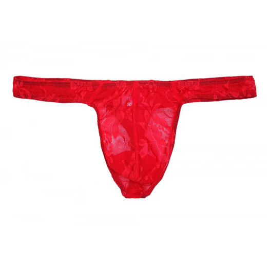 Men's underwear pervert thong mesh see-through T-pants men's thong sexy breathable low waist see-through red M
