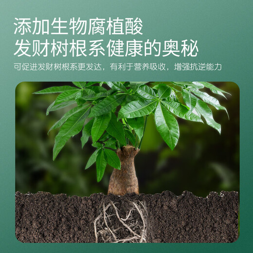 Stanley Money Tree Nutrient Solution Fertilizer Special Fertilizer to Prevent Yellow Leaves, Dead Leaves and Root Rot, General Purpose for Indoor Potted Plants 500ml