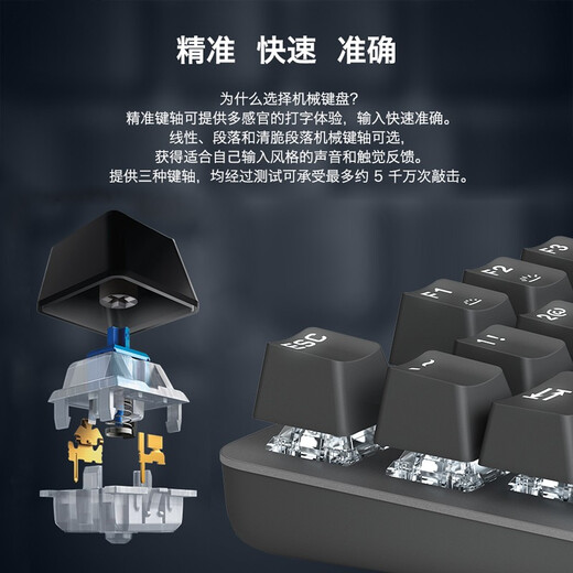 罗技（Logitech）K845机械键盘 有线键盘 办公电脑打字键盘 电竞游戏发光全尺寸个性化定制键帽卡皮巴拉 生日礼物 【K845露营之夜限定礼盒】红轴