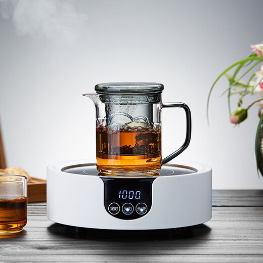 美斯尼 茶杯玻璃泡茶杯带嘴泡茶器茶水分离杯花茶杯办公居家用茶具 墨客杯 690mL
