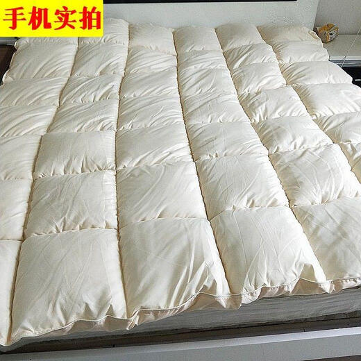 羽绒被95白鹅绒被子被芯春秋被双人加厚保暖冬被单人宿舍棉 羽绒被蓝+灰 180X220cm10斤