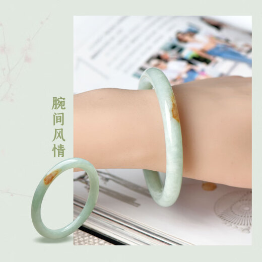 可玉可求保价618  翡翠手镯 女士冰底淡绿色玉手镯 玉石手镯子多口径 【款二】C6630f 约54毫米