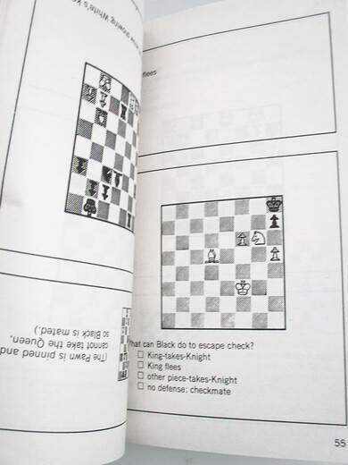 Bobby Fischer Teaches Chess 英文原版 鲍比菲舍尔教授国际象棋 教程书籍 英文版 进口英语原版书