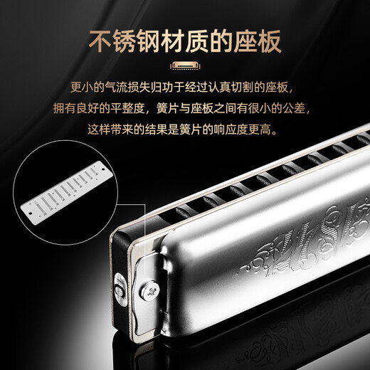 Seydel importé d'Allemagne Seydel 10 trous 10 blues blues metal harmonica 1847 noble débutant adulte 10 trous b