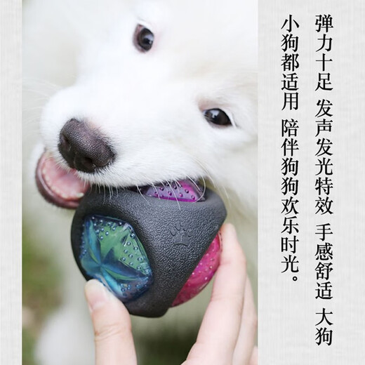 Ravipet Dog Toy Ball Luminous Sound Dog Teething Toy Golden Retriever Corgi Toy Teddy Border Collie Toy Small Dog Luminous Sound Ball