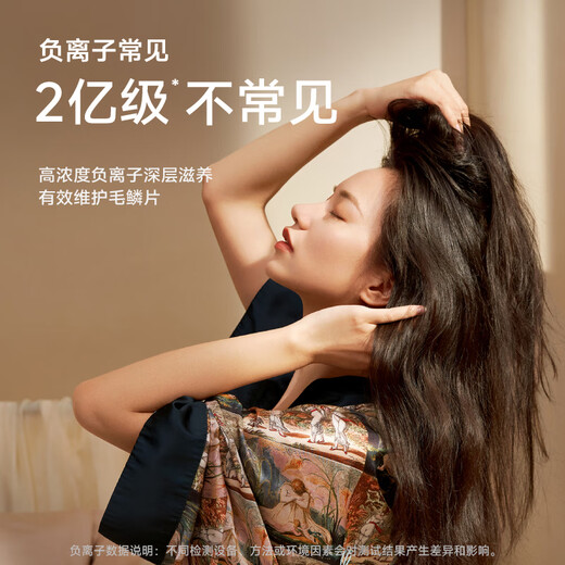 Laifen high-speed hair dryer, quick-drying household hair dryer, negative ion hair care, low-noise hair dryer, birthday gift, national subsidy, LF03 simple white