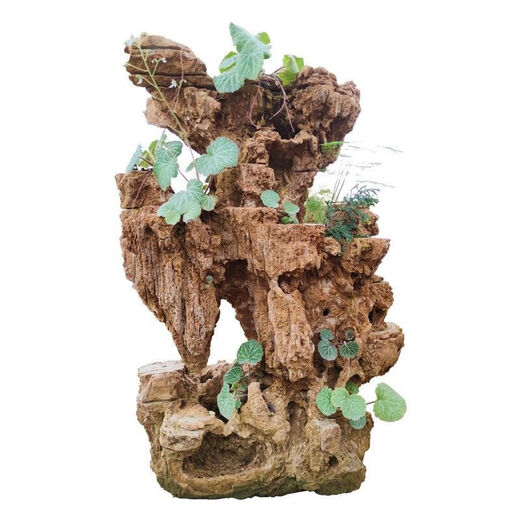 Shiguang Station absorbent stone natural stone bonsai fish tank courtyard large fish pond landscaping absorbent stone original stone water stone bonsai 10-14cm absorbent stone does not include basin